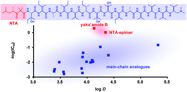 Graphical abstract: The total synthesis and functional evaluation of fourteen stereoisomers of yaku'amide B. The importance of stereochemistry for hydrophobicity and cytotoxicity