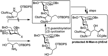 Graphical abstract: A concise approach to the synthesis of the unique N-mannosyl d-β-hydroxyenduracididine moiety in the mannopeptimycin series of natural products