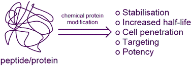 Graphical abstract: Bioconjugation – using selective chemistry to enhance the properties of proteins and peptides as therapeutics and carriers