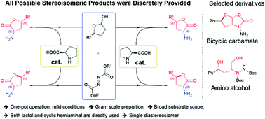 Graphical abstract: From racemic precursors to fully stereocontrolled products: one-pot synthesis of chiral α-amino lactones and lactams