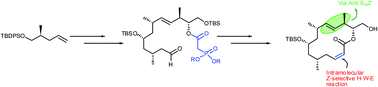 Graphical abstract: Synthetic studies of callyspongiolide: synthesis of the macrolactone core of the molecule