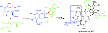 Graphical abstract: Asymmetric synthesis of (−)-renieramycin T