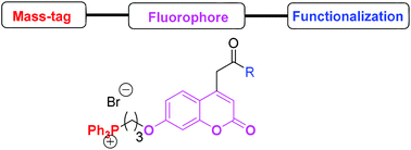 Graphical abstract: Readily functionalizable phosphonium-tagged fluorescent coumarins for enhanced detection of conjugates by mass spectrometry