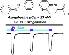 Graphical abstract: Azogabazine; a photochromic antagonist of the GABAA receptor
