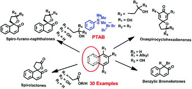 Graphical abstract: Phenyl trimethyl ammonium tribromide mediated robust one-pot synthesis of spiro-oxacycles – an economic route – stereoselective synthesis of oxaspirohexacyclodieneones