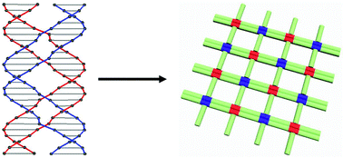 Graphical abstract: The study of the paranemic crossover (PX) motif in the context of self-assembly of DNA 2D crystals