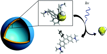 Graphical abstract: A prototype reversible polymersome-stabilized H2S photoejector operating under pseudophysiological conditions