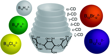 Graphical abstract: High-affinity host–guest chemistry of large-ring cyclodextrins