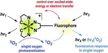 Graphical abstract: Molecular dyad approaches to the detection and photosensitization of singlet oxygen for biological applications