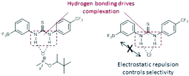 Graphical abstract: Biasing hydrogen bond donating host systems towards chemical warfare agent recognition