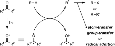 Graphical abstract: The past, present, and future of the Yang reaction