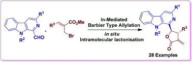 Graphical abstract: Natural product inspired design and synthesis of β-carboline and γ-lactone based molecular hybrids