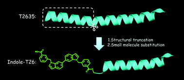 Graphical abstract: An effective conjugation strategy for designing short peptide-based HIV-1 fusion inhibitors