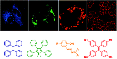 Graphical abstract: Organelle-specific bioprobes based on fluorogens with aggregation-induced emission (AIE) characteristics