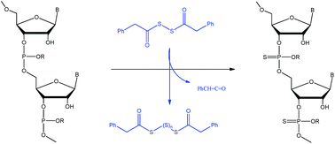 Graphical abstract: Phosphorothioate anti-sense oligonucleotides: the kinetics and mechanism of the generation of the sulfurising agent from phenylacetyl disulfide (PADS)