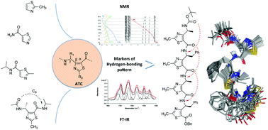 Graphical abstract: FT-IR and NMR structural markers for thiazole-based γ-peptide foldamers