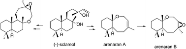 Graphical abstract: Preparation of oxocene terpenes. The first enantiospecific synthesis of cytotoxic arenaran A