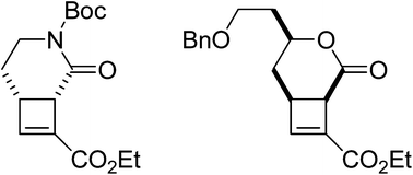 Graphical abstract: Intramolecular thermal stepwise [2 + 2] cycloadditions: investigation of a stereoselective synthesis of [n.2.0]-bicyclolactones