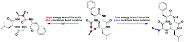 Graphical abstract: The effect of backbone flexibility on site-selective modification of macrocycles