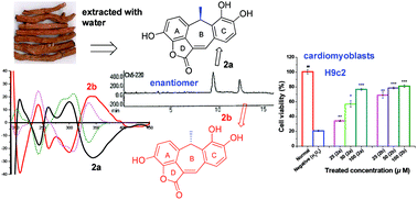 Graphical abstract: Bioactive norditerpenoids and neolignans from the roots of salvia miltiorrhiza