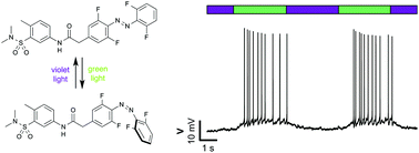 Graphical abstract: Optical control of GIRK channels using visible light