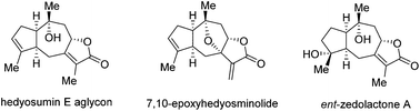 Graphical abstract: Asymmetric total synthesis of hedyosumin E aglycon, 7,10-epoxyhedyosminolide and ent-zedolactone A