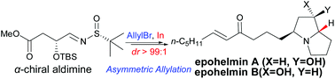 Graphical abstract: Asymmetric syntheses of epohelmins A and B by In-mediated allylation