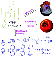 Graphical abstract: Carboxylatopillar[n]arenes: a versatile class of water soluble synthetic receptors