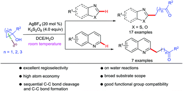 Graphical abstract: Silver-catalyzed C2-selective direct alkylation of heteroarenes with tertiary cycloalkanols