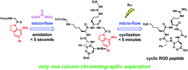 Graphical abstract: A rapid and clean synthetic approach to cyclic peptides via micro-flow peptide chain elongation and photochemical cyclization: synthesis of a cyclic RGD peptide