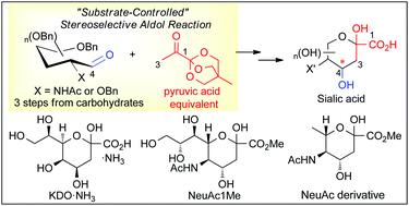 Graphical abstract: Synthesis of sialic acid derivatives based on chiral substrate-controlled stereoselective aldol reactions using pyruvic acid oxabicyclo[2.2.2]octyl orthoester