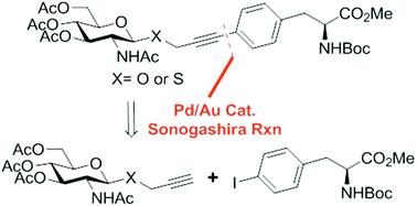 Graphical abstract: A palladium and gold catalytic system enables direct access to O- and S-linked non-natural glyco-conjugates