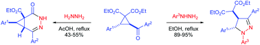 Graphical abstract: Nucleophilic ring-opening reactions of trans-2-aroyl-3-aryl-cyclopropane-1,1-dicarboxylates with hydrazines