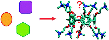 Graphical abstract: Investigation of the binding modes of a positively charged pillar[5]arene: internal and external guest complexation