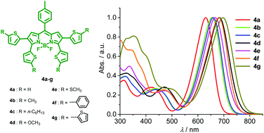Graphical abstract: Tetrathienyl-functionalized red- and NIR-absorbing BODIPY dyes appending various peripheral substituents