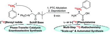 Graphical abstract: A rapid and highly enantioselective C–11C bond formation of l-[11C]phenylalanine via chiral phase-transfer catalysis