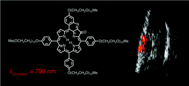 Graphical abstract: In vivo photoacoustic tumor tomography using a quinoline-annulated porphyrin as NIR molecular contrast agent