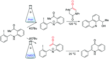 Graphical abstract: Effect of solvent on radical cyclisation pathways: SRN1 vs. aryl–aryl bond forming mechanisms