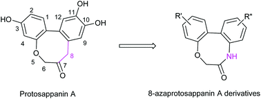Graphical abstract: Synthesis of 8-azaprotosappanin A derivatives via intramolecular palladium-catalyzed ortho C–H activation/C–C cyclization and their antibacterial activity