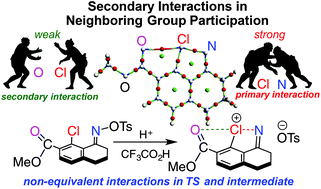 Graphical abstract: Revisiting secondary interactions in neighboring group participation, exemplified by reactivity changes of iminylium intermediates