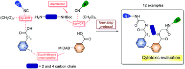 Graphical abstract: Diversity-oriented synthesis and cytotoxic activity evaluation of biaryl-containing macrocycles