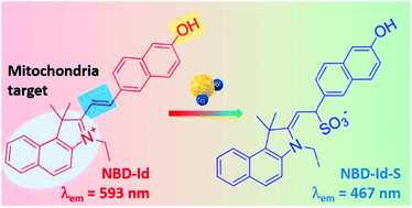 Graphical abstract: A ratiometric fluorescence probe for imaging sulfur dioxide derivatives in the mitochondria of living cells