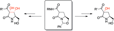 Graphical abstract: Mimics of pramanicin derived from pyroglutamic acid and their antibacterial activity