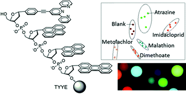 Graphical abstract: DNA as an environmental sensor: detection and identification of pesticide contaminants in water with fluorescent nucleobases