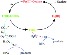 Graphical abstract: Effects of organic acids and initial solution pH on photocatalytic degradation of bisphenol A (BPA) in a photo-Fenton-like process using goethite (α-FeOOH)