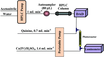 Graphical abstract: Photoinduced chemiluminescence determination of carbamate pesticides