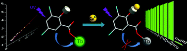 Graphical abstract: A new luminescent lanthanide supramolecular network possessing free Lewis base sites for highly selective and sensitive Cu2+ sensing