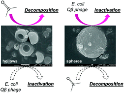 Graphical abstract: Different hollow and spherical TiO2 morphologies have distinct activities for the photocatalytic inactivation of chemical and biological agents