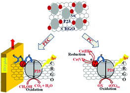 Graphical abstract: Chemically reduced graphene oxide–P25–Au nanocomposite materials and their photoelectrocatalytic and photocatalytic applications