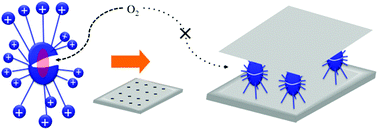Graphical abstract: Room temperature phosphorescence from a guest molecule confined in the restrictive space of an organic–inorganic supramolecular assembly